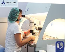 Slider image (4) In Vitro Fertility Clinic